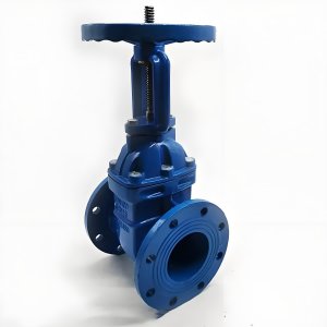 手動閘閥Z41T-16 DN50/DN65廠家直銷，上海發